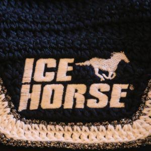 Ice-Horse